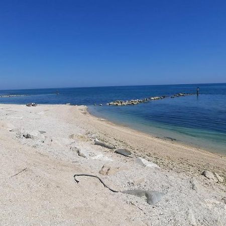 Casamarina Lägenhet Marina di Montemarciano Exteriör bild